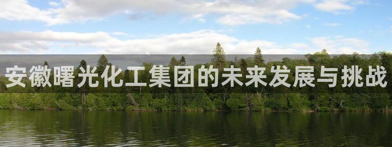 球盟会app：安徽曙光化工集团的未来发展与挑战