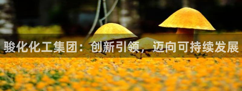 球盟会qmh网页版登录 - qm球盟会官方网站：骏化化工集团