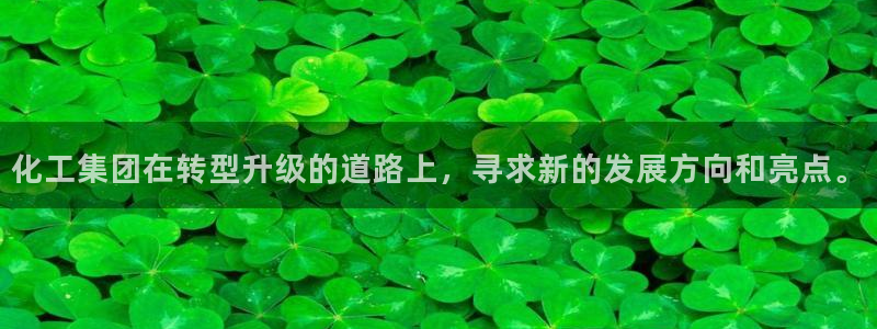 球盟会qm9：化工集团在转型升级的道路上，寻求新的发展方向和