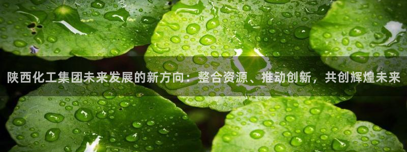 球盟会头号玩家：陕西化工集团未来发展的新方向：整合资源、推动
