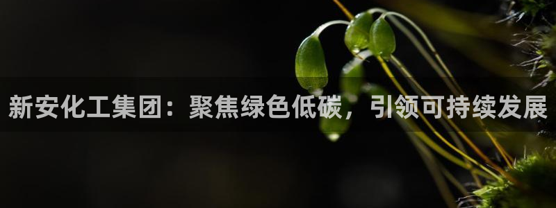球盟会平台会黑单吗：新安化工集团：聚焦绿色低碳，引领可持续发