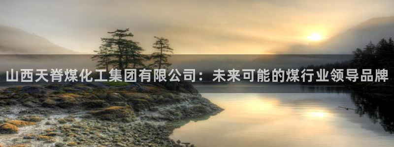 球盟会官方平台入口：山西天脊煤化工集团有限公司：未来可能的煤