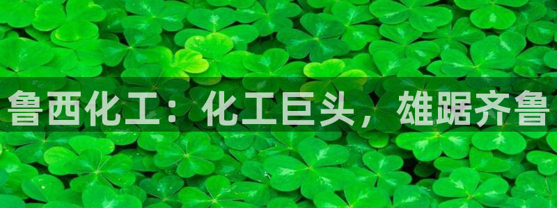 球盟会有没有黑单的球员：鲁西化工：化工巨头，雄踞齐鲁