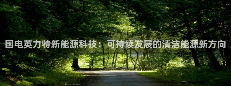 球盟会邮箱：国电英力特新能源科技：可持续发展的清洁能源新方向
