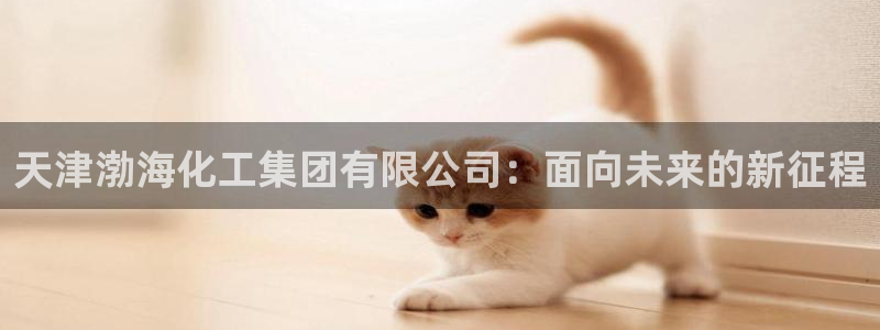 球盟会黑款吗是真的吗：天津渤海化工集团有限公司：面向未来的新