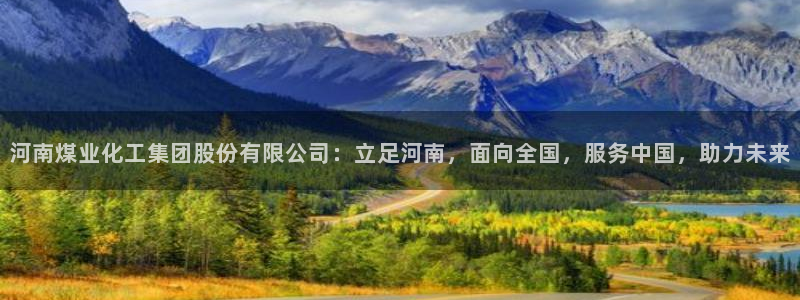 球盟会有没有黑单的人：河南煤业化工集团股份有限公司：立足河南