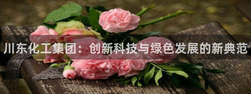 球盟会官方网站：川东化工集团：创新科技与绿色发展的新典范
