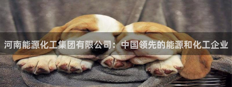 球盟会官方网入口：河南能源化工集团有限公司：中国领先的能源和