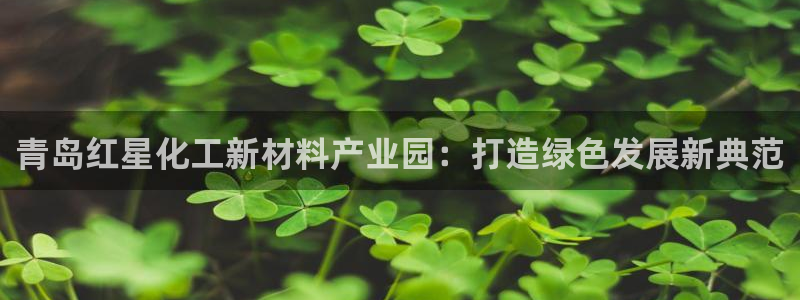 球盟会官方网址入口：青岛红星化工新材料产业园：打造绿色发展新