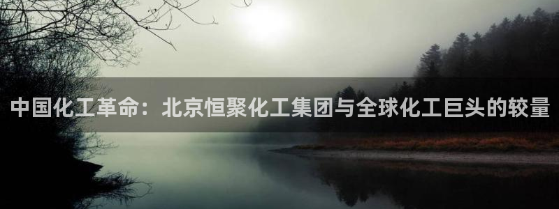 球盟会登陆中心：中国化工革命：北京恒聚化工集团与全球化工巨头