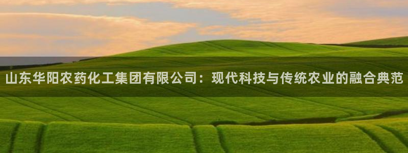 球盟会登录入口：山东华阳农药化工集团有限公司：现代科技与传统