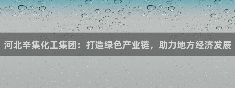 球盟会可以提现么：河北辛集化工集团：打造