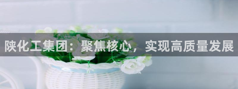 球盟会黑：陕化工集团：聚焦核心，实现高质