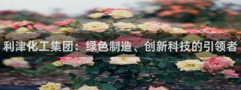 球盟会可以提现么：利津化工集团：绿色制造