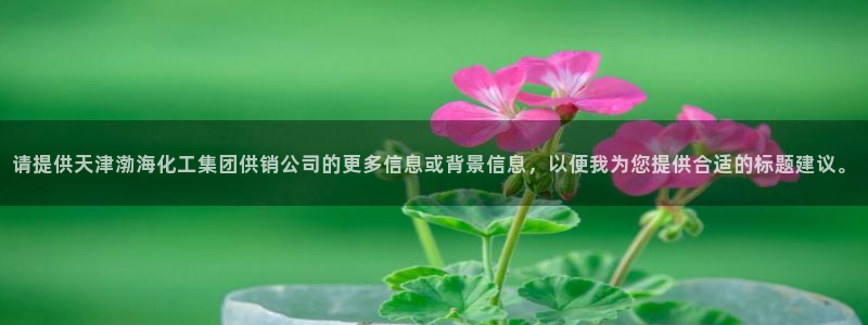 球盟会在线官网：请提供天津渤海化工集团供
