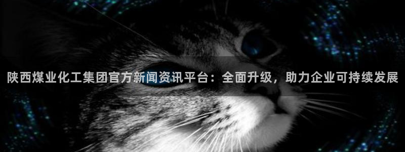 球盟会黑嘛：陕西煤业化工集团官方新闻资讯