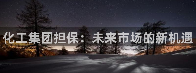 球盟会app最新地址在哪看：化工集团担保：未来市场的新机遇
