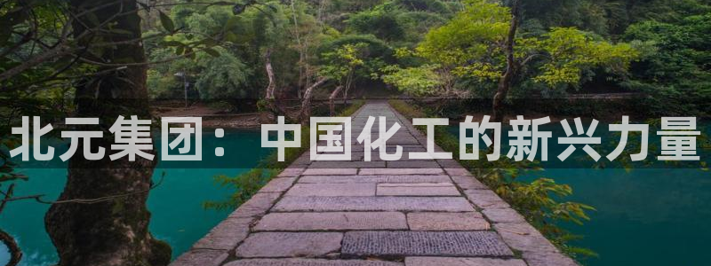 球盟会qmh电子网页版登录：北元集团：中国化工的新兴力量