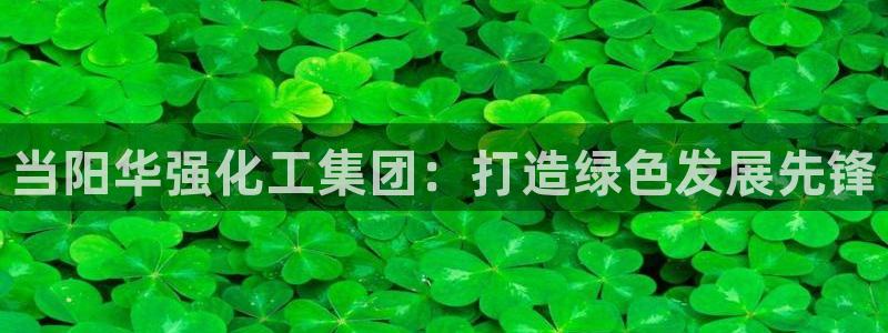 球盟会类似的网站：当阳华强化工集团：打造绿色发展先锋