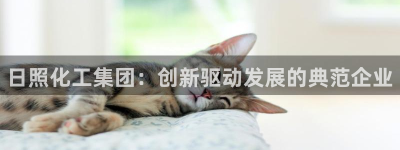 球盟会qmh网页版登录：日照化工集团：创新驱动发展的典范企业