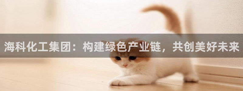 球盟会提款支付宝怎么样：海科化工集团：构建绿色产业链，共创美