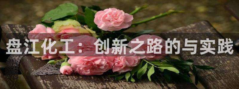 球盟会(中国)官方网站：盘江化工：创新之路的与实践