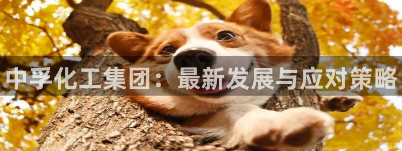 球盟会登录网址：中孚化工集团：最新发展与应对策略