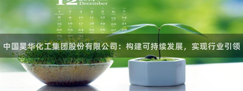 球盟会综合体育平台怎么样：中国昊华化工集团股份有限公司：构建