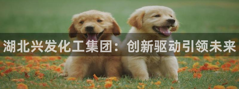 球盟会App：湖北兴发化工集团：创新驱动引领未来
