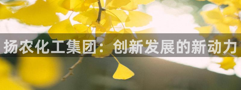 球盟会网址qm9 - 球盟会qmh网页版登录：扬农化工集团：