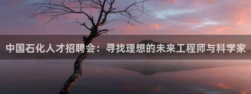 球盟会qmh官网：中国石化人才招聘会：寻找理想的未来工程师与