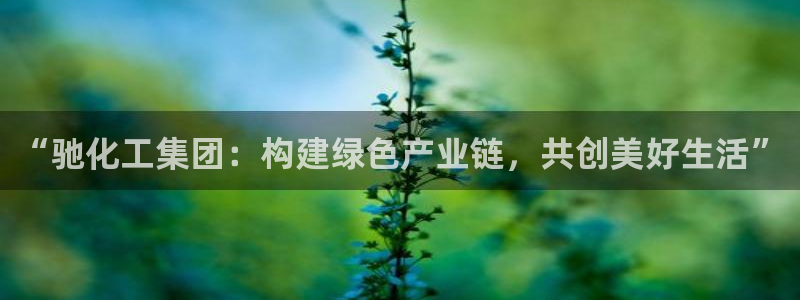 千亿球盟会乐玩：“驰化工集团：构建绿色产业链，共创美好生活”