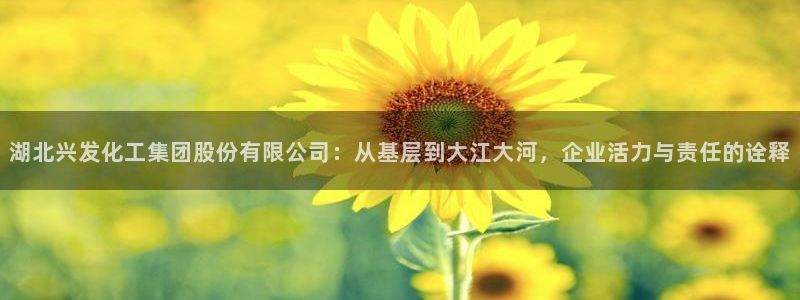 球盟会平台会黑单吗：湖北兴发化工集团股份有限公司：从基层到大