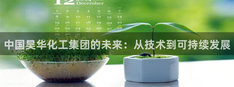 球盟会登陆：中国昊华化工集团的未来：从技术到可持续发展