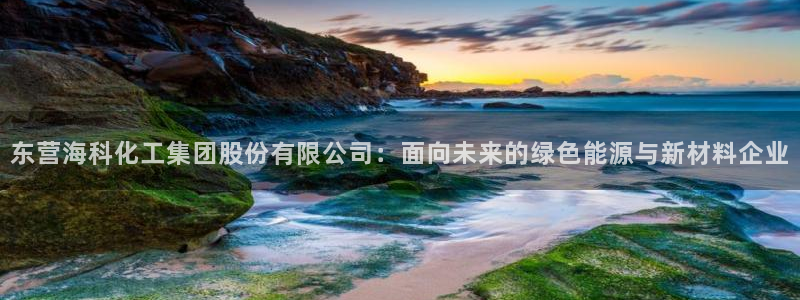 球盟会APP最新地址：东营海科化工集团股份有限公司：面向未来