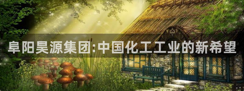 球盟会综合体育平台：阜阳昊源集团:中国化工工业的新希望