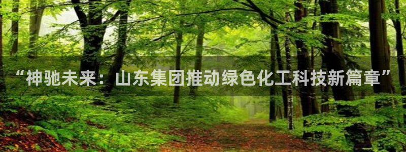 球盟会官方网站app：“神驰未来：山东集团推动绿色化工科技新