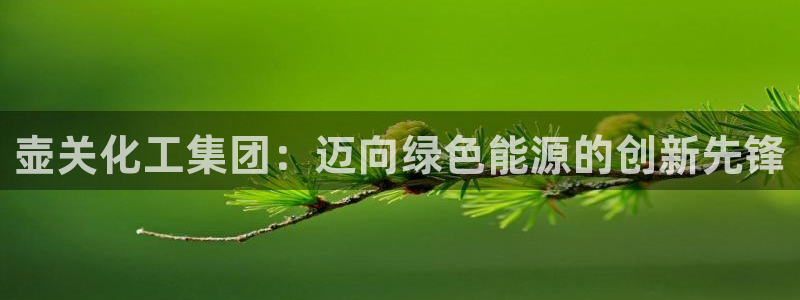 球盟会能退钱吗知乎：壶关化工集团：迈向绿色能源的创新先锋
