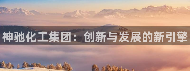 球盟会手机网页版：神驰化工集团：创新与发展的新引擎