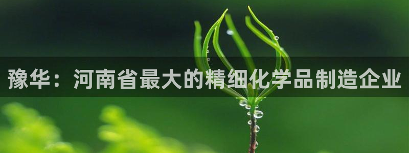 球盟会官方客服