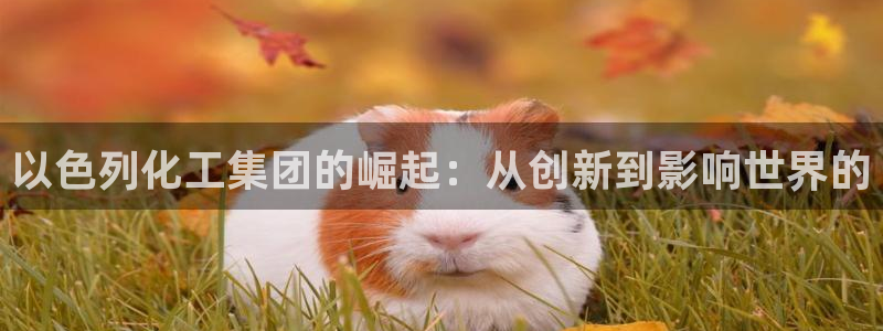 球盟会有没有黑单的