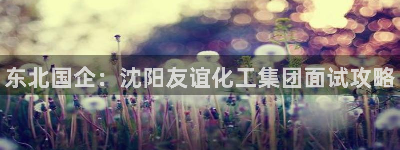 球盟会在线登入：东北国企：沈阳友谊化工集团面试攻略