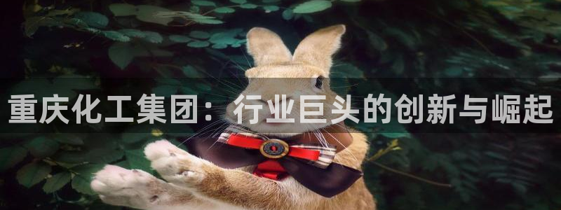 球盟会中国网页登录