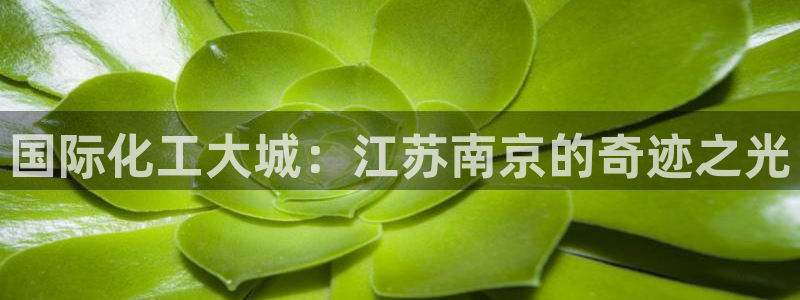 球盟会APP官网：国际化工大城：江苏南京