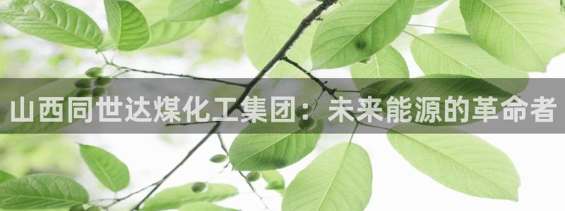球盟会(中国)官方网站：山西同世达煤化工集团：未来能源的革命