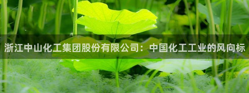 球盟会可靠不：浙江中山化工集团股份有限公司：中国化工工业的风