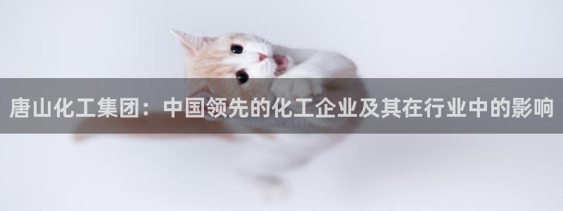 球盟会官方下载