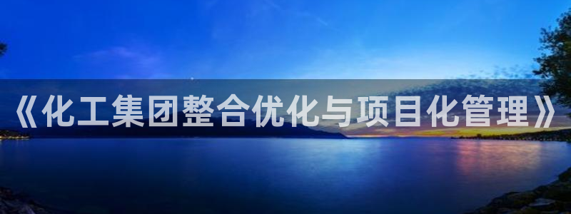 球盟会和中欧合作吗：《化工集团整合优化与项目化管理》