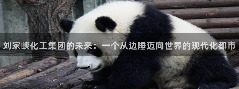 球盟会福利码2023最简单三个步骤：刘家峡化工集团的未来：一