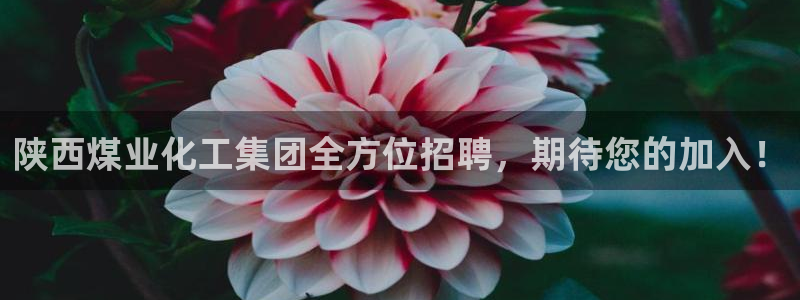 球盟会优惠领取网站：陕西煤业化工集团全方位招聘，期待您的加入